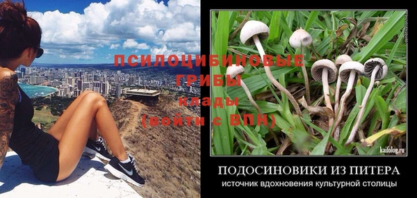 тгк Бронницы