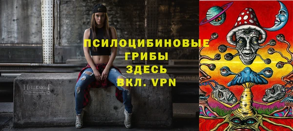 МДПВ Верхний Тагил