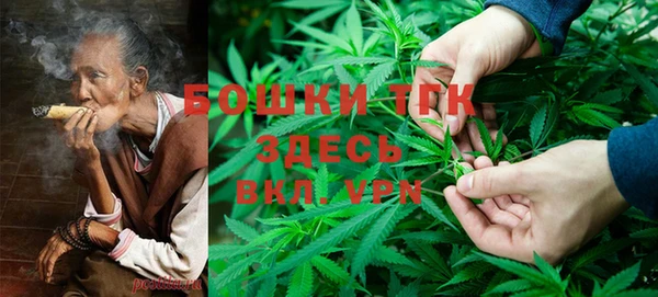 тгк Бронницы
