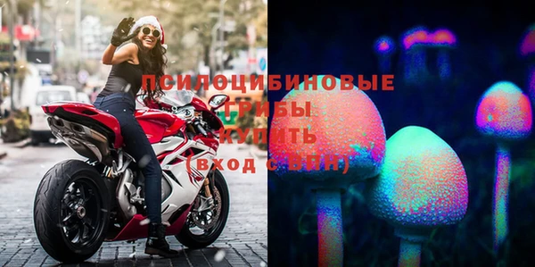 герыч Бугульма