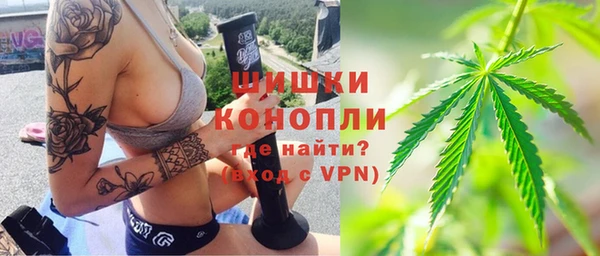 тгк Бронницы