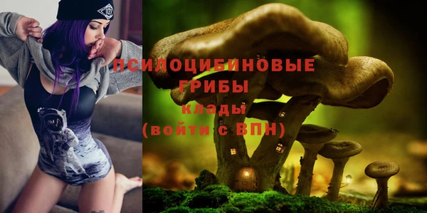 герыч Бугульма