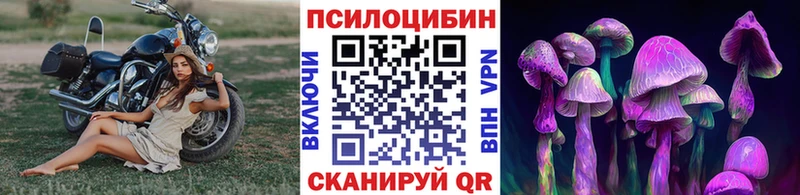 нарко площадка Telegram  Ува  Псилоцибиновые грибы Magic Shrooms 